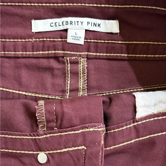 Celebrity Pink Burgundy Mini Skirt - Picture 5 of 7